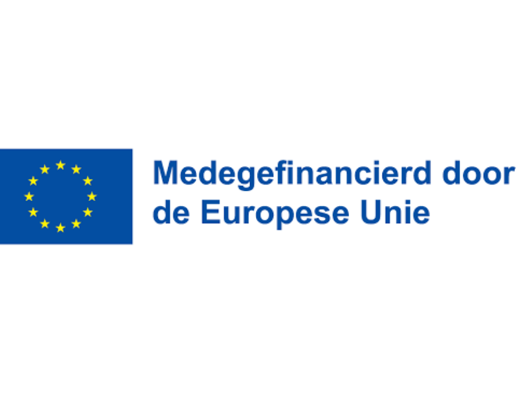 Logo van Medegefinancierd door de Europese Unie